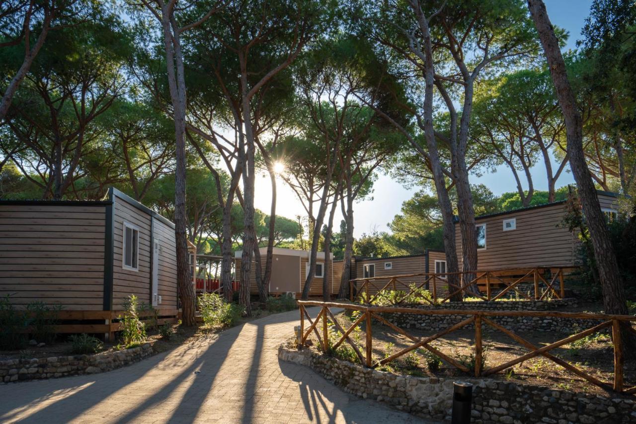 Camping Il Capannino Glamping Village مارينا دي بيبونا المظهر الخارجي الصورة